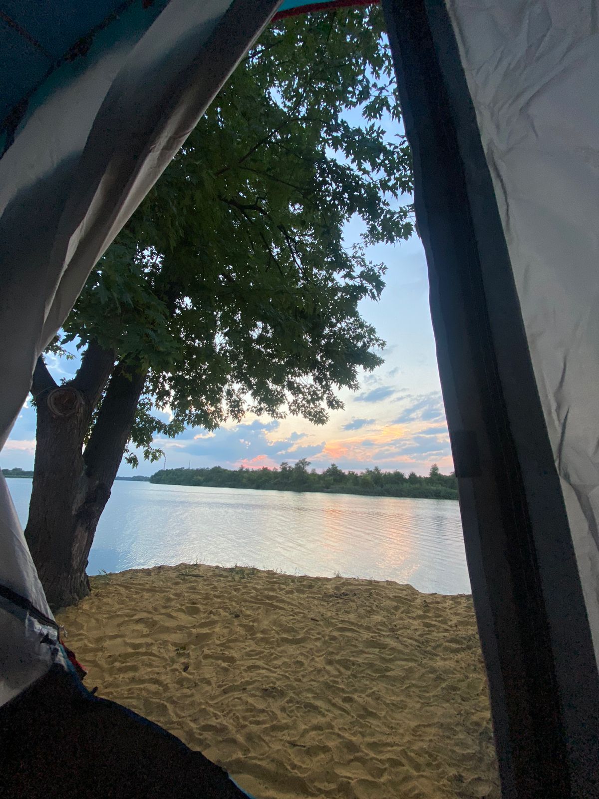 Фото Белуга