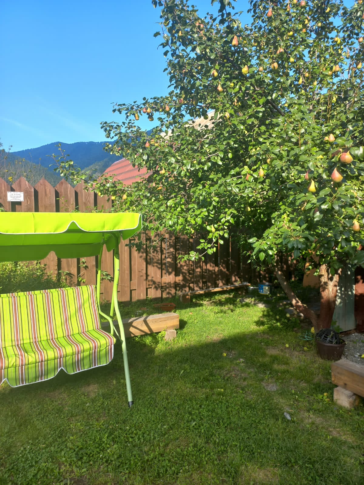 Фото Фараонова Дача