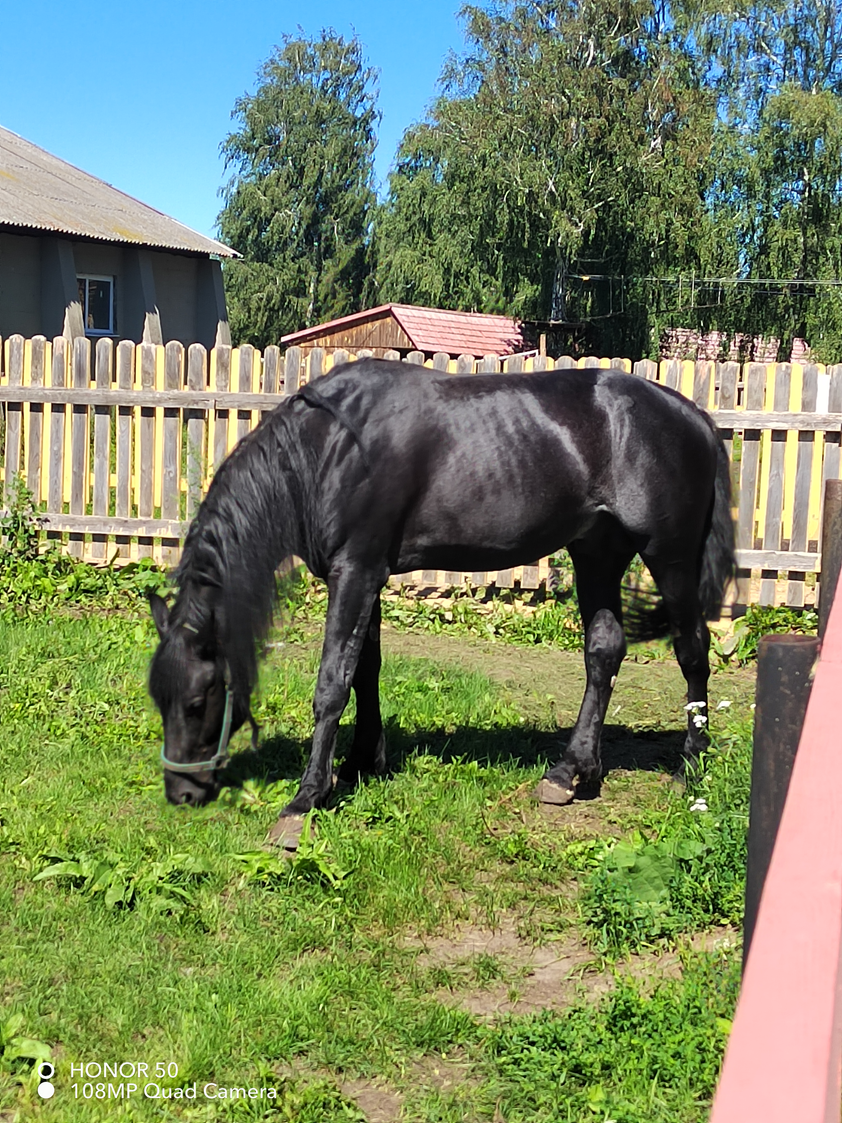 Фото Акватория