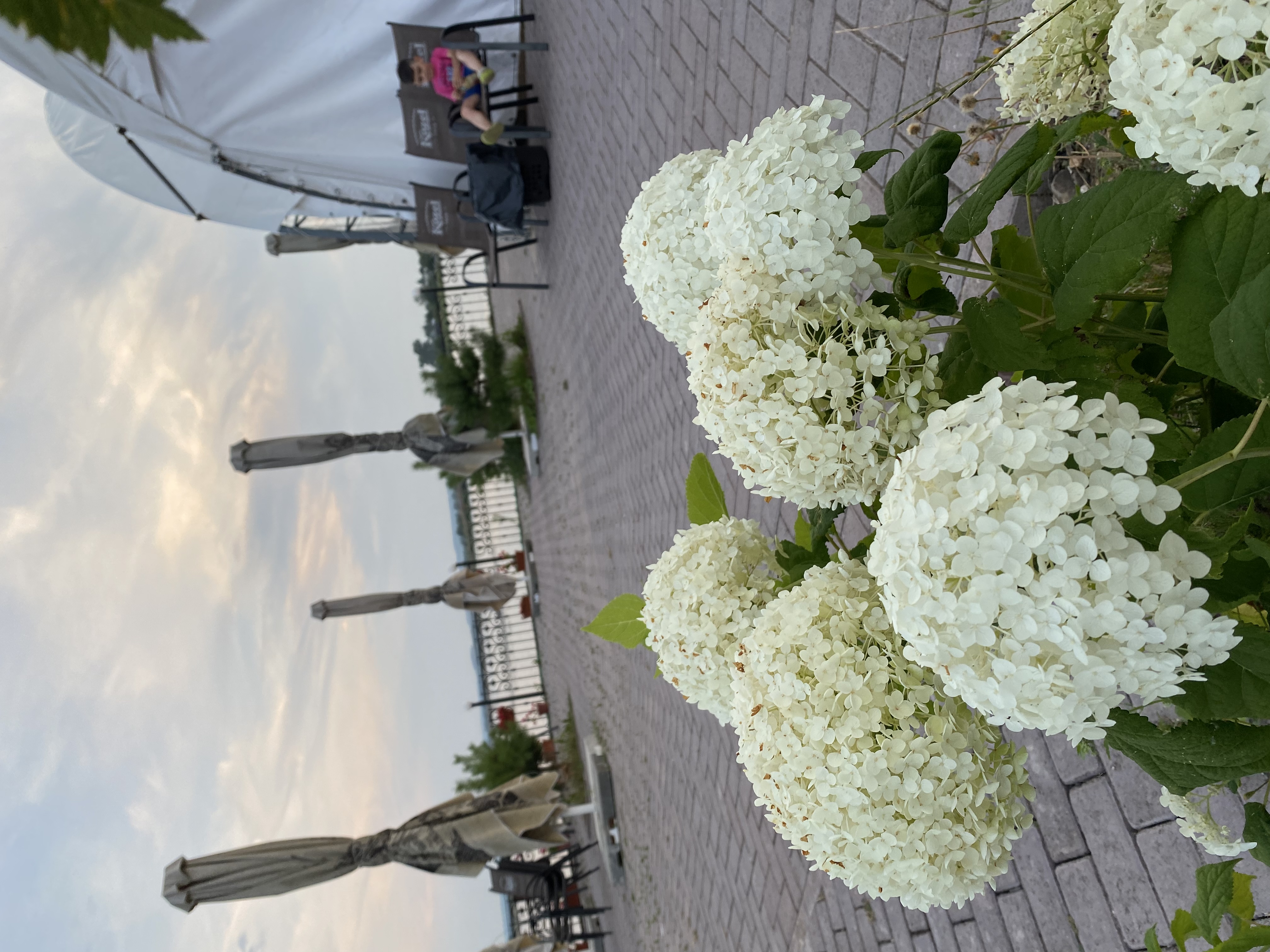 Фото Бухта Беринга