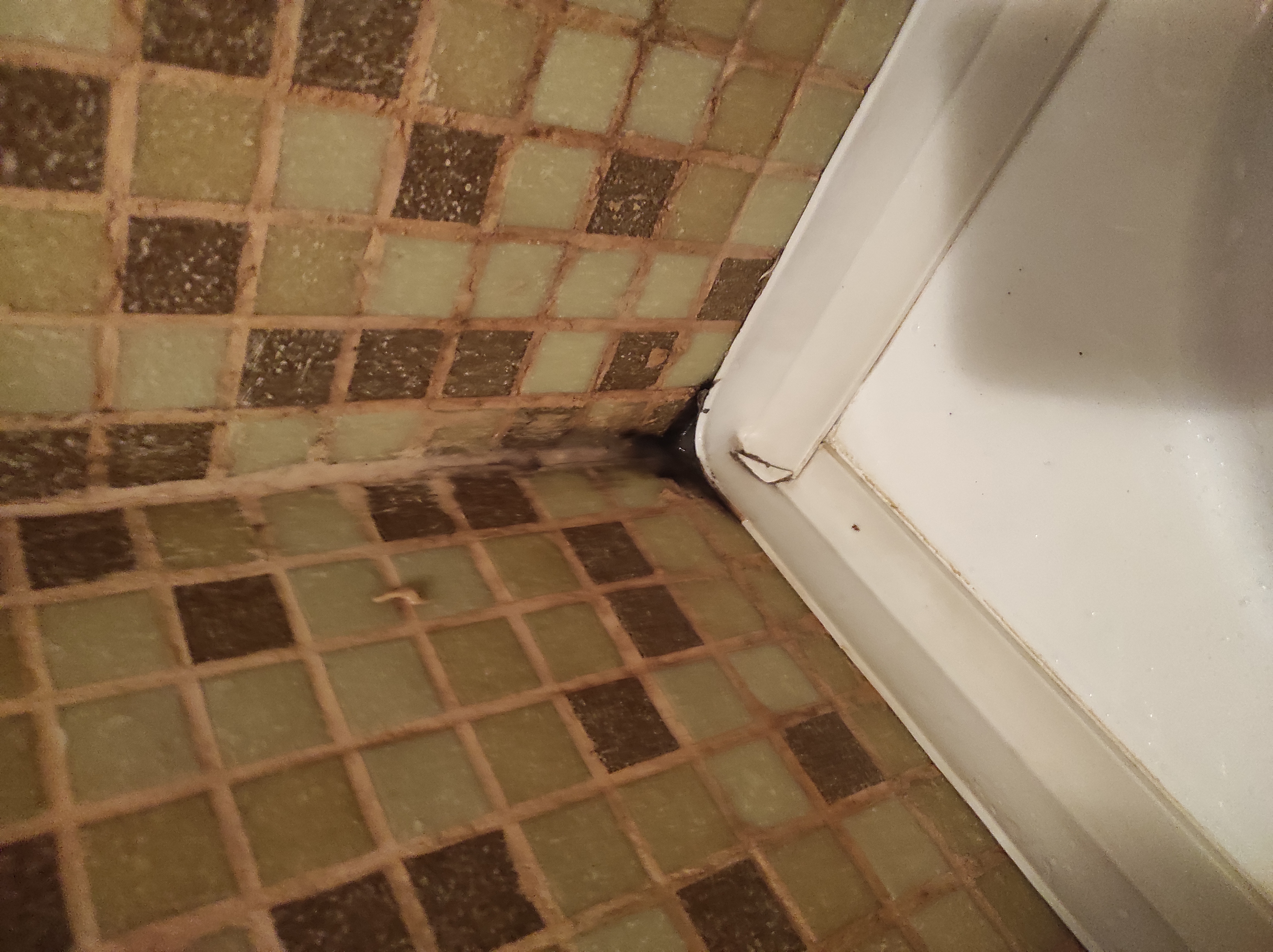 Фото Саттурн