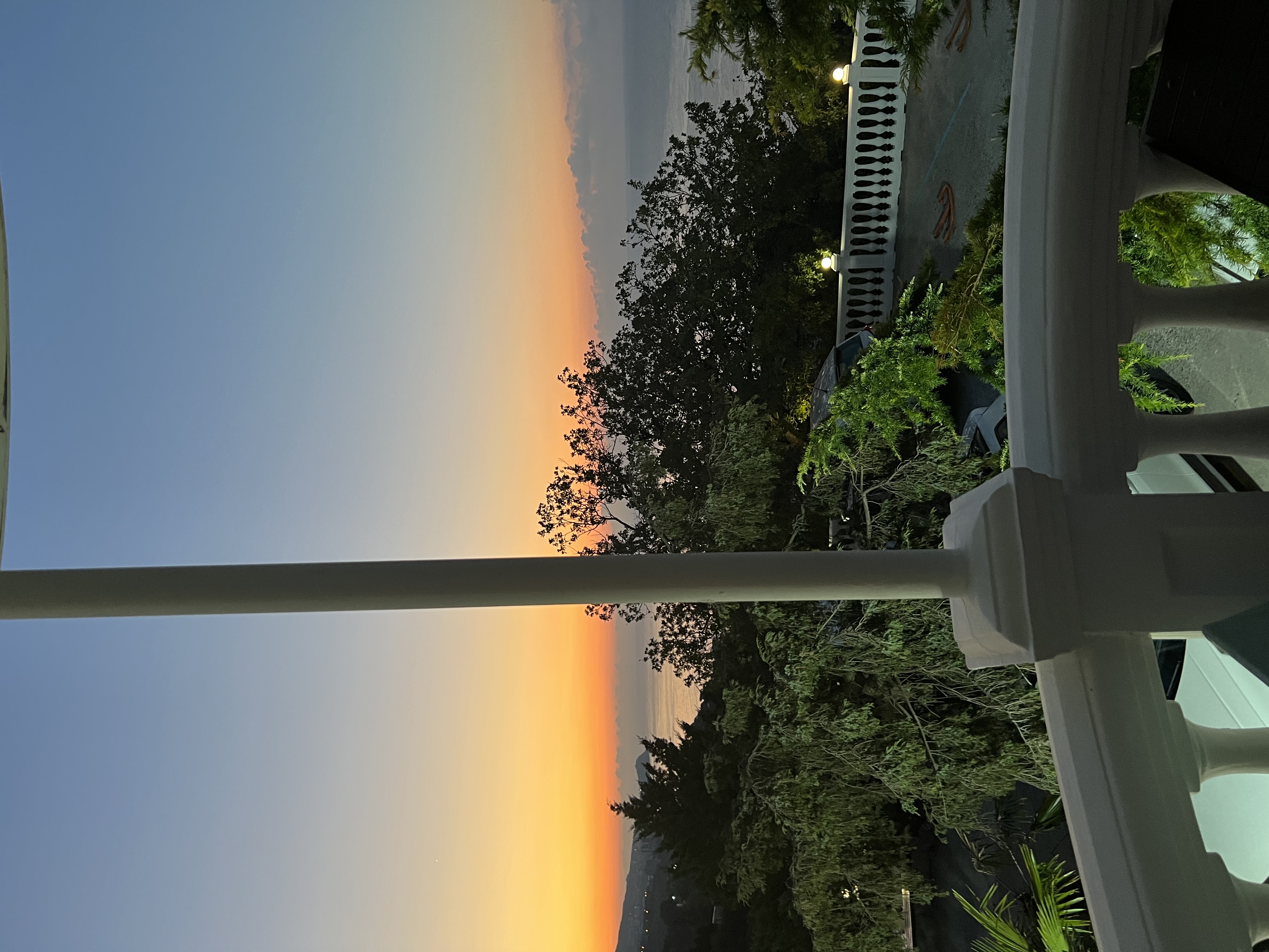 Фото Форест