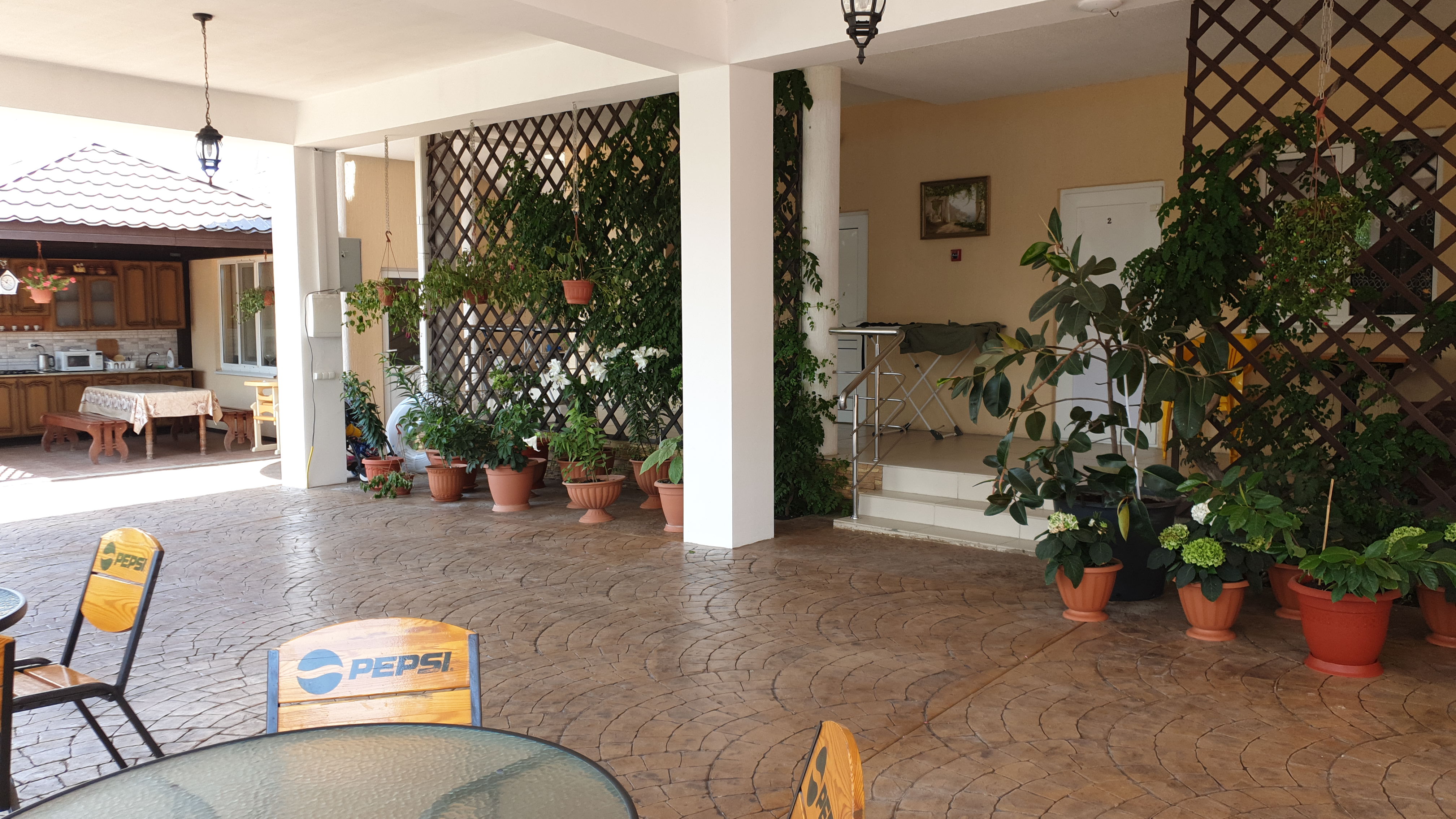 Фото Астерия