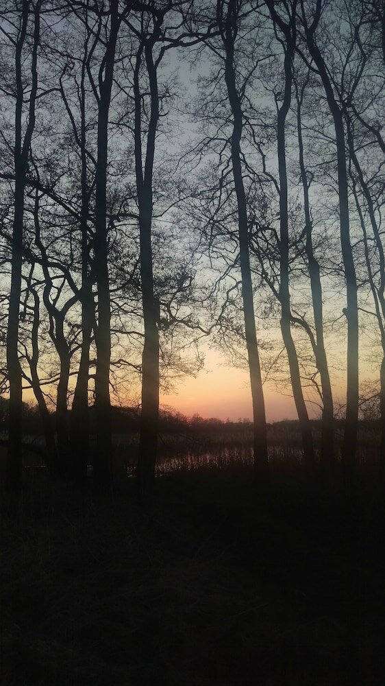 Фото Hotel Nordischer Hof