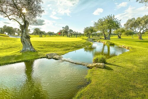 Гостиница Robinson Quinta Da Ria