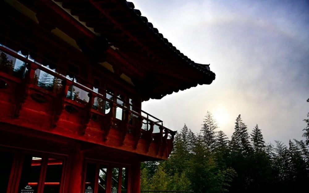 Фото Damyang Dambit Pension