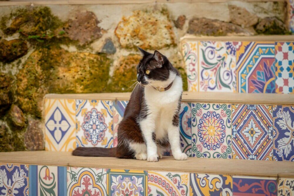 Фото Pousada Perequê