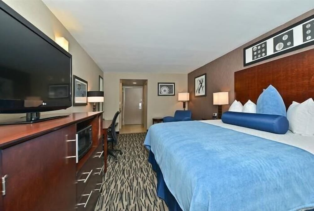 Фото Wyndham Garden Elk Grove Village/O'Hare