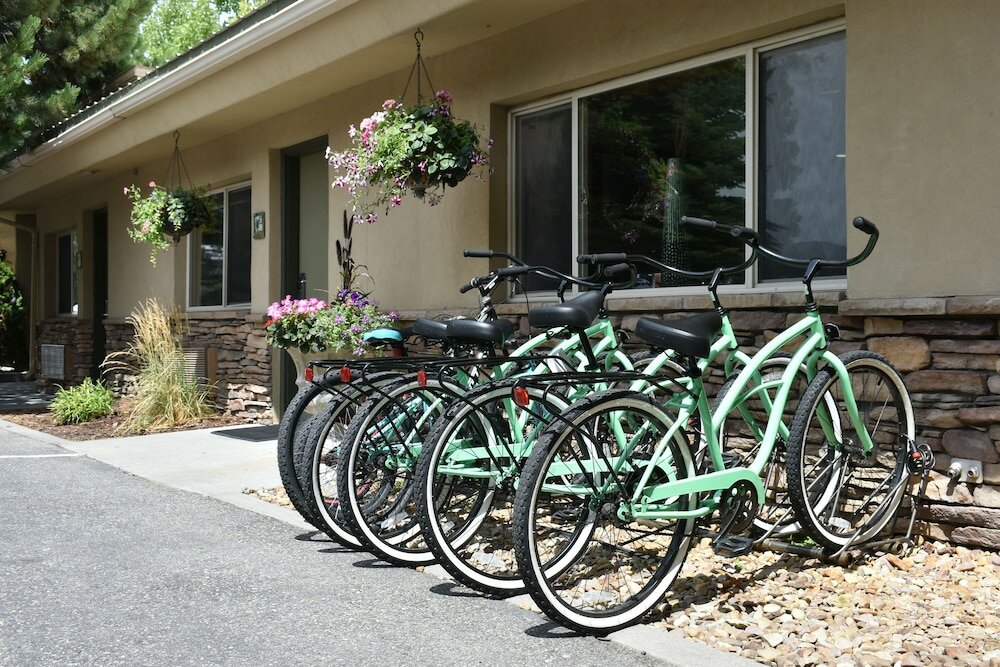 Фото Best Western Driftwood Inn