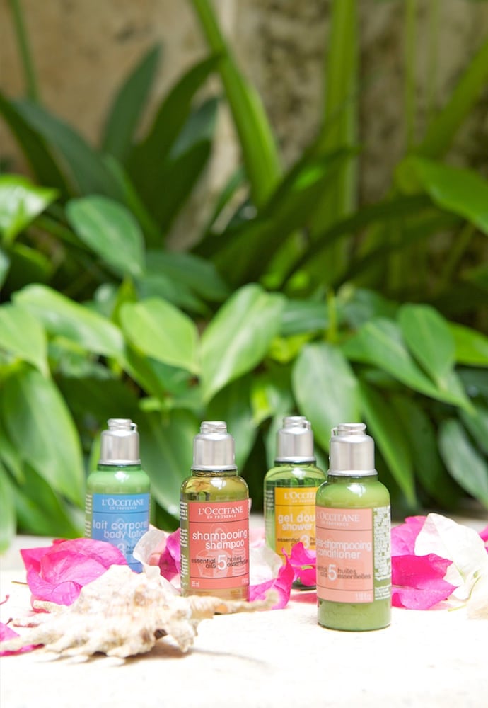 Фото Pulchra - Philippines