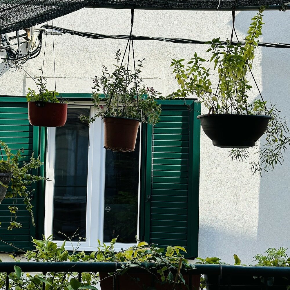 Фото Apartment Ne-do in Split Varoš