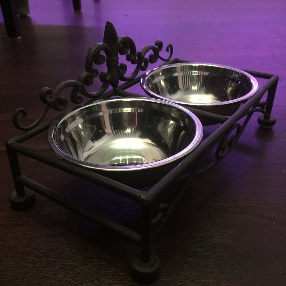 Фото Hotel Am Volksgarten