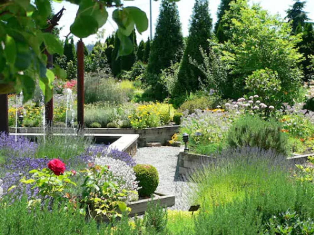 Фото Willows Lodge