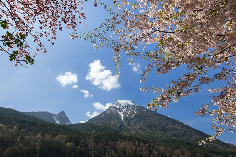 Фото Berghotel Rehlegg