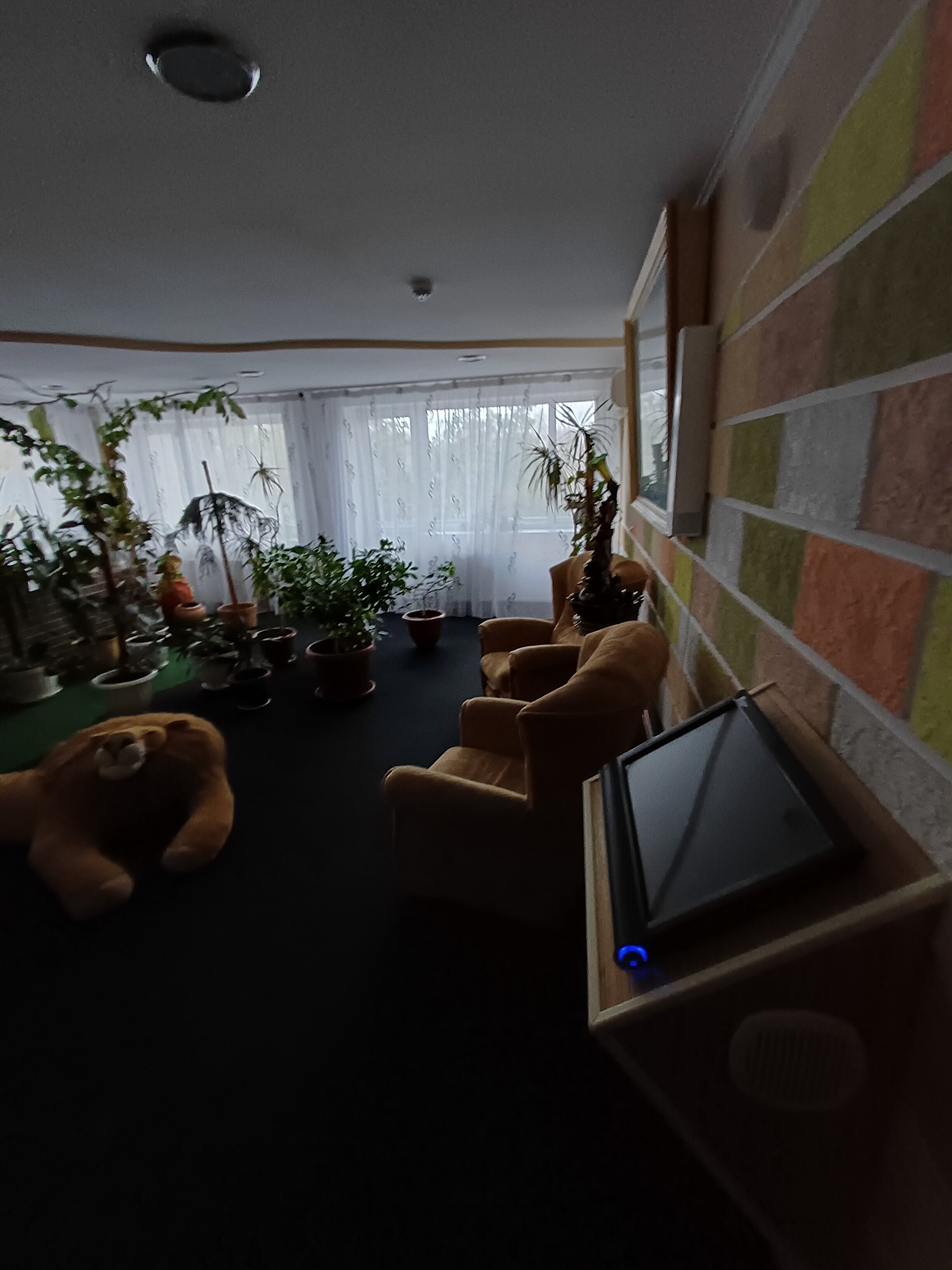 Фото Фантазия