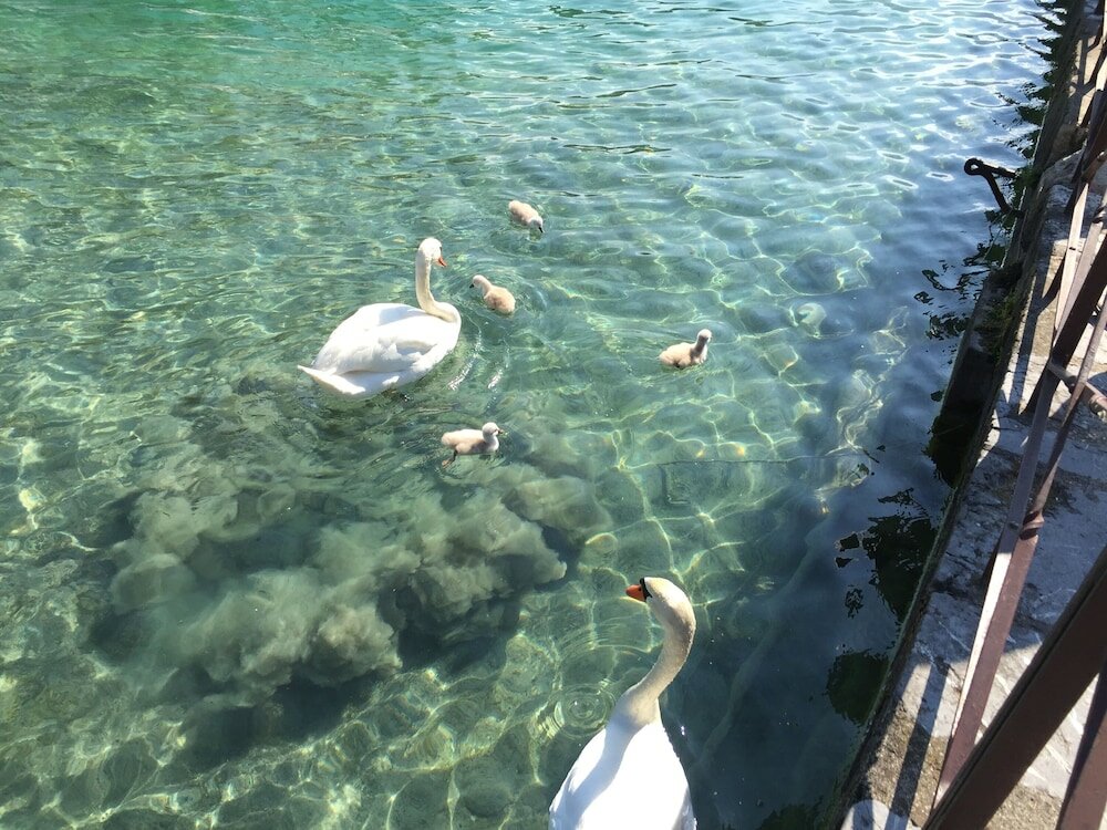 Фото Mercure Annecy Centre