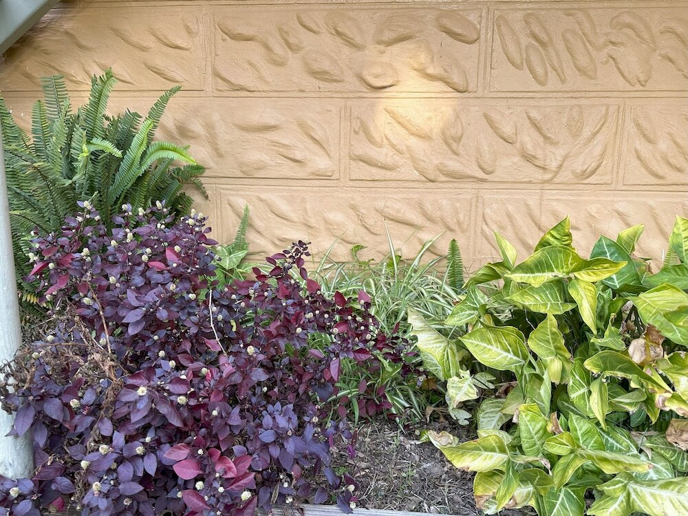 Фото Breimba Street Apartments