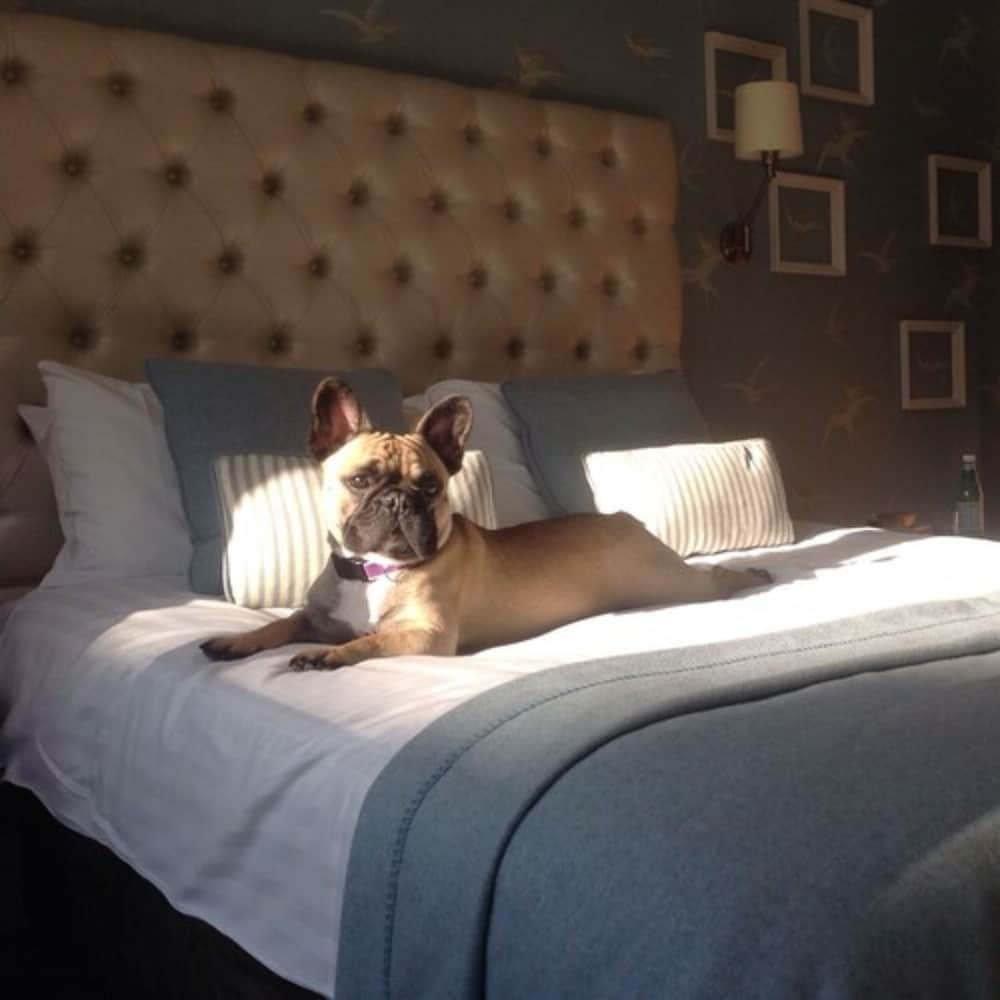 Фото The Old Ship Hotel