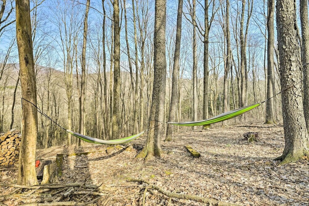 Фото Unplugged Mountain Retreat With Porch Swings!