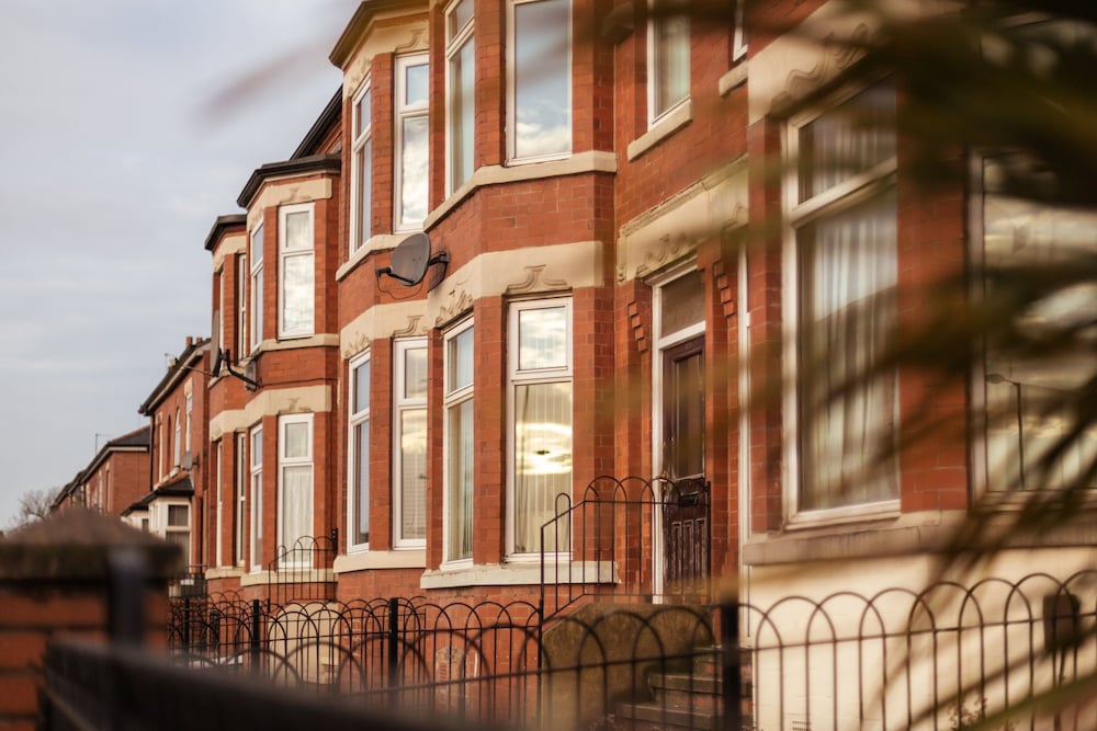 Фото The niu Loom