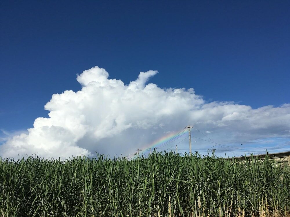 Фото Pension Ntsunaka