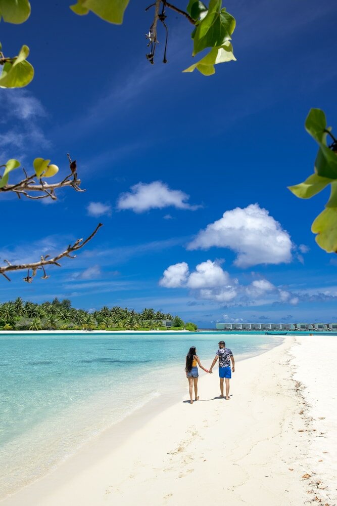 Фото Ithaa Beach Maldives