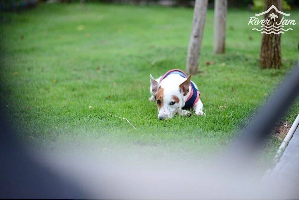 Фото River Jam Amphawa