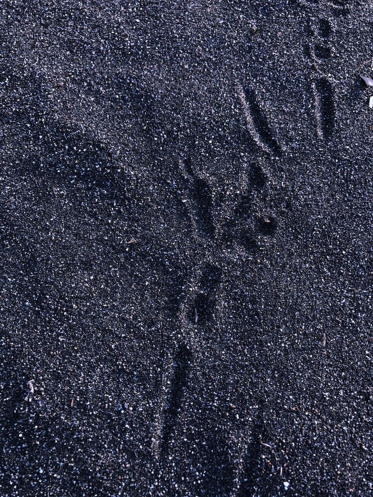 Фото Simple Pleasures Hotel