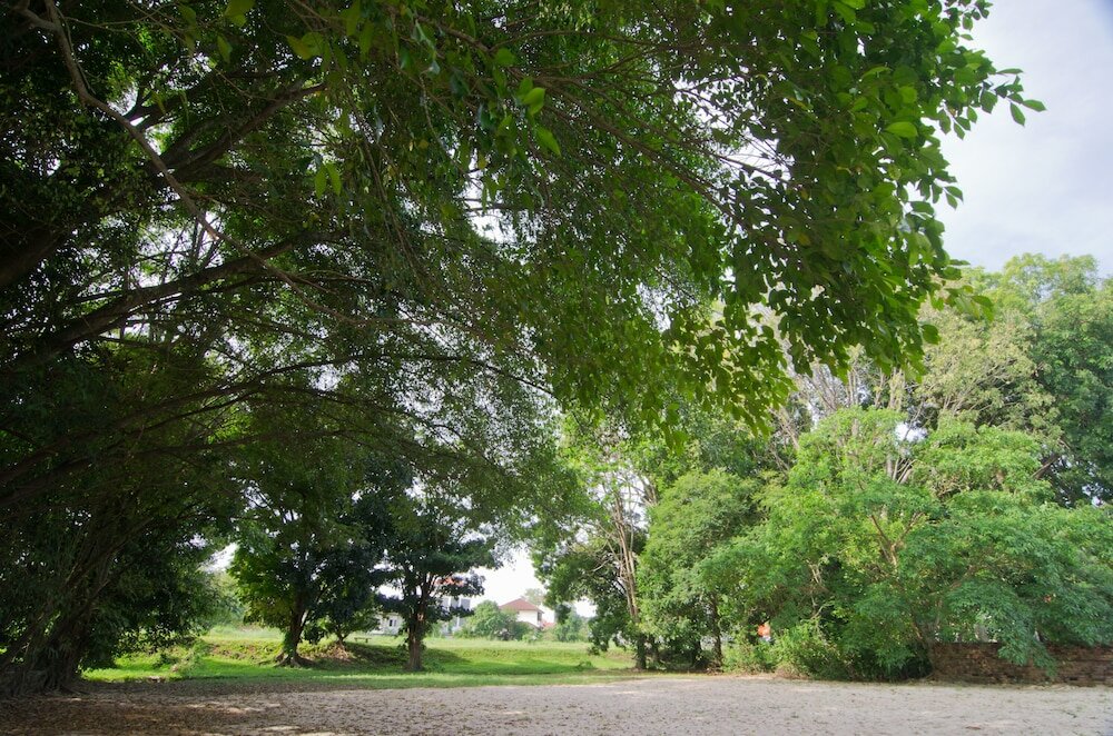 Фото MyDream Homestay