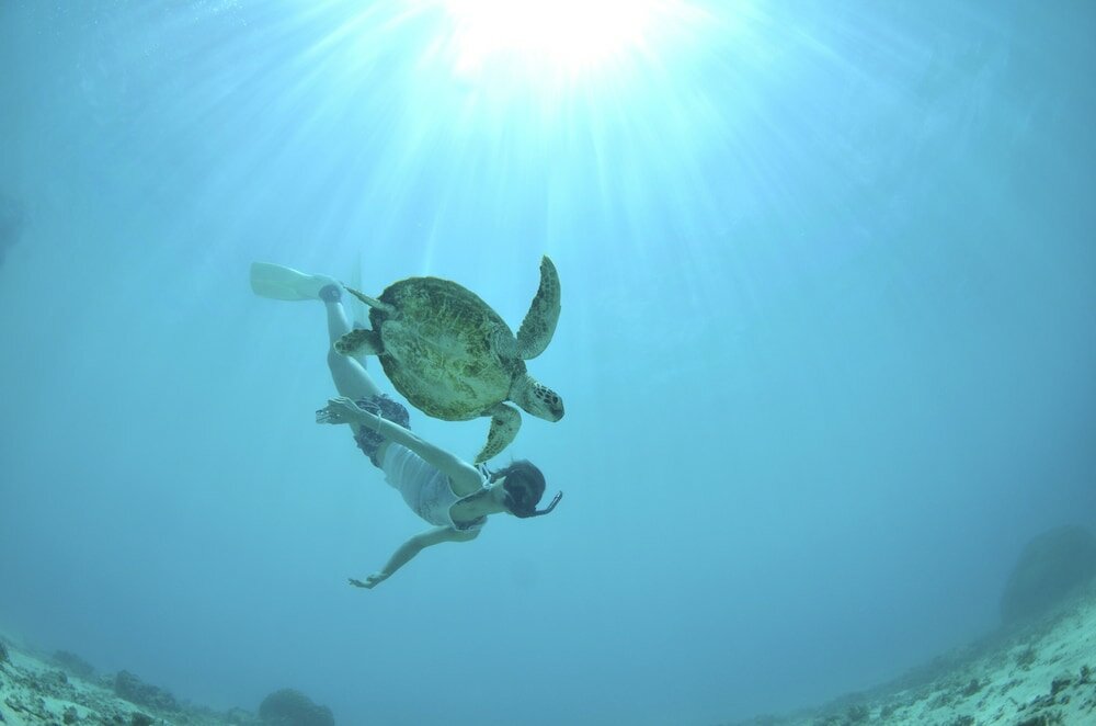 Фото Allamanda Imgya Coral Village