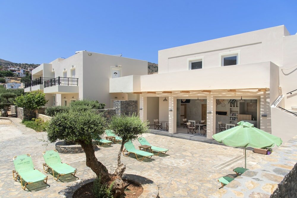 Фото Olive Grove