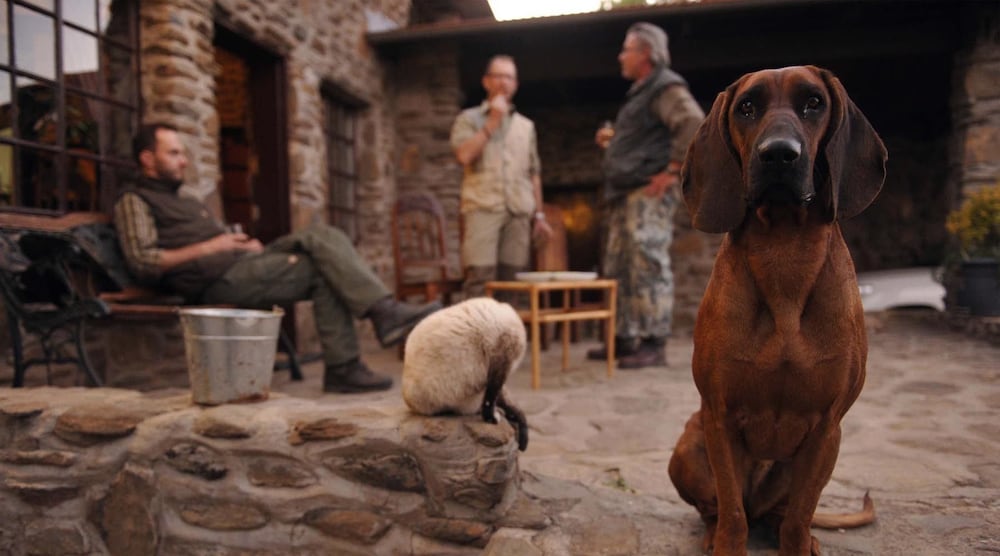 Фото Leopard Lodge