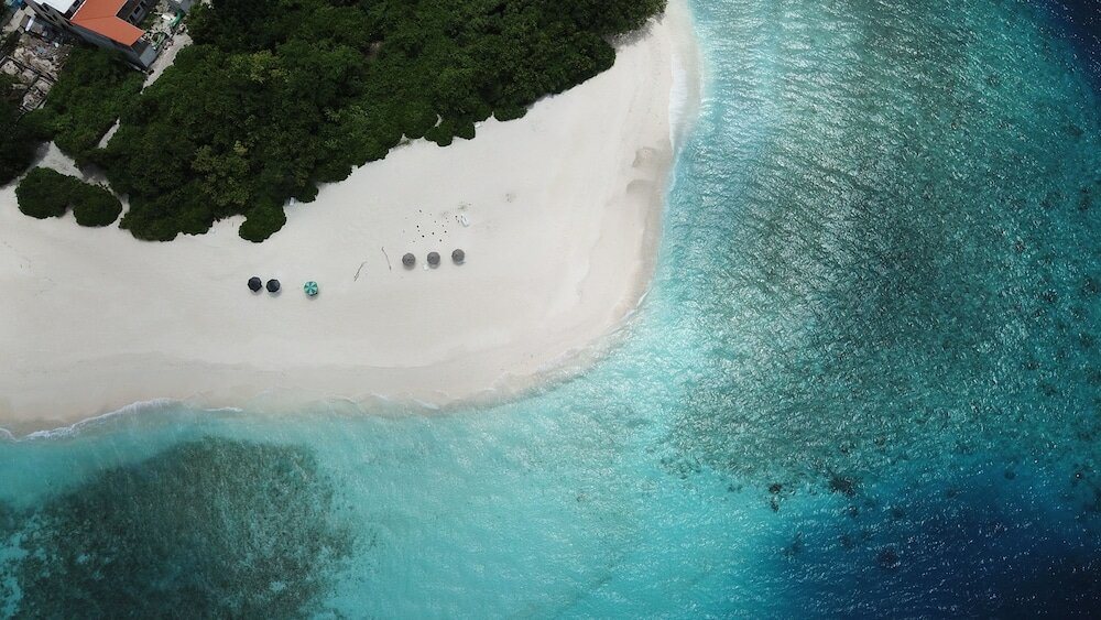 Фото SeaLaVie Inn