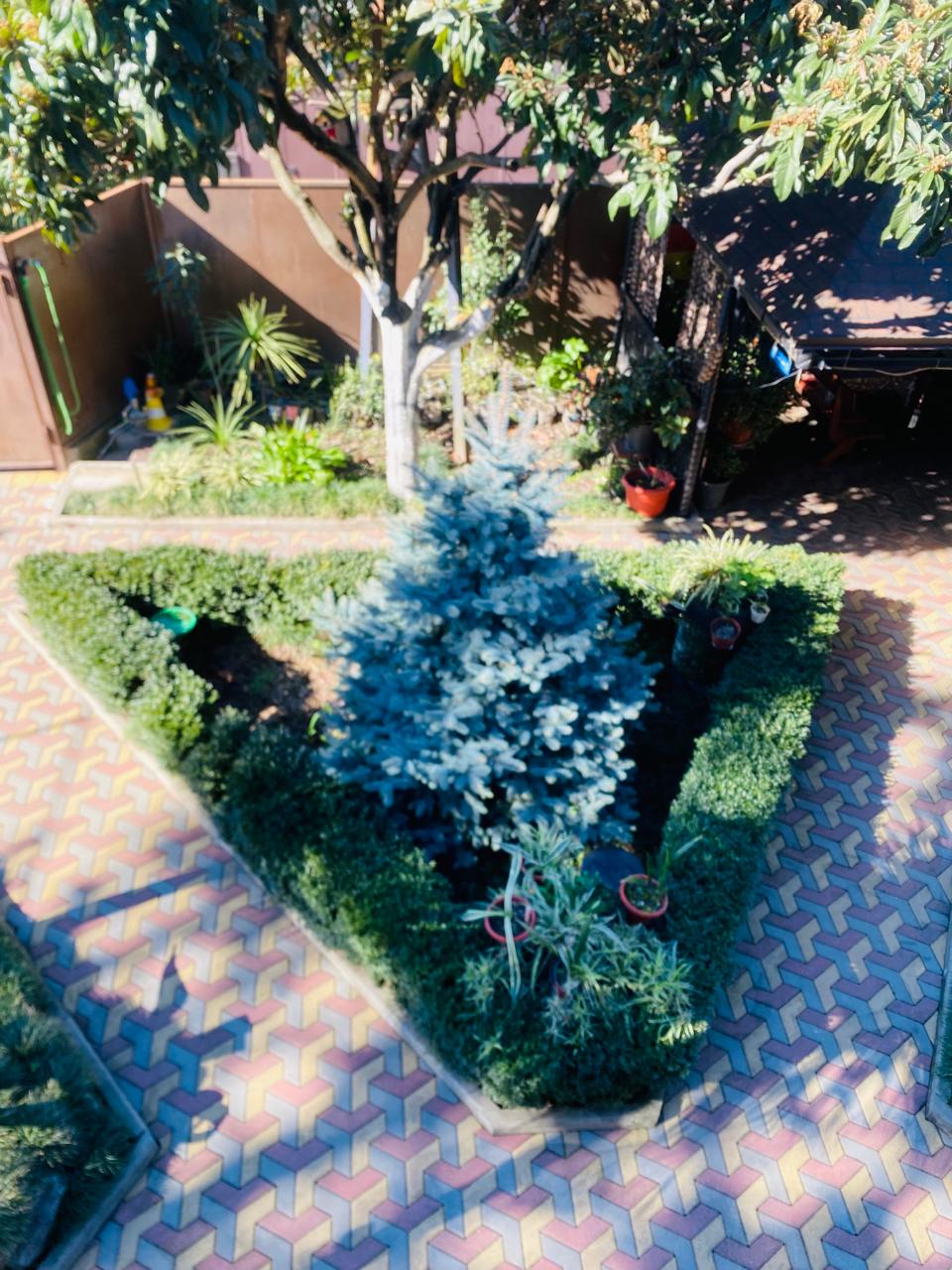 Фото Аврора