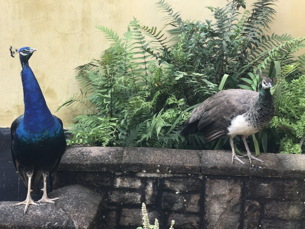 Фото Edens Guest House