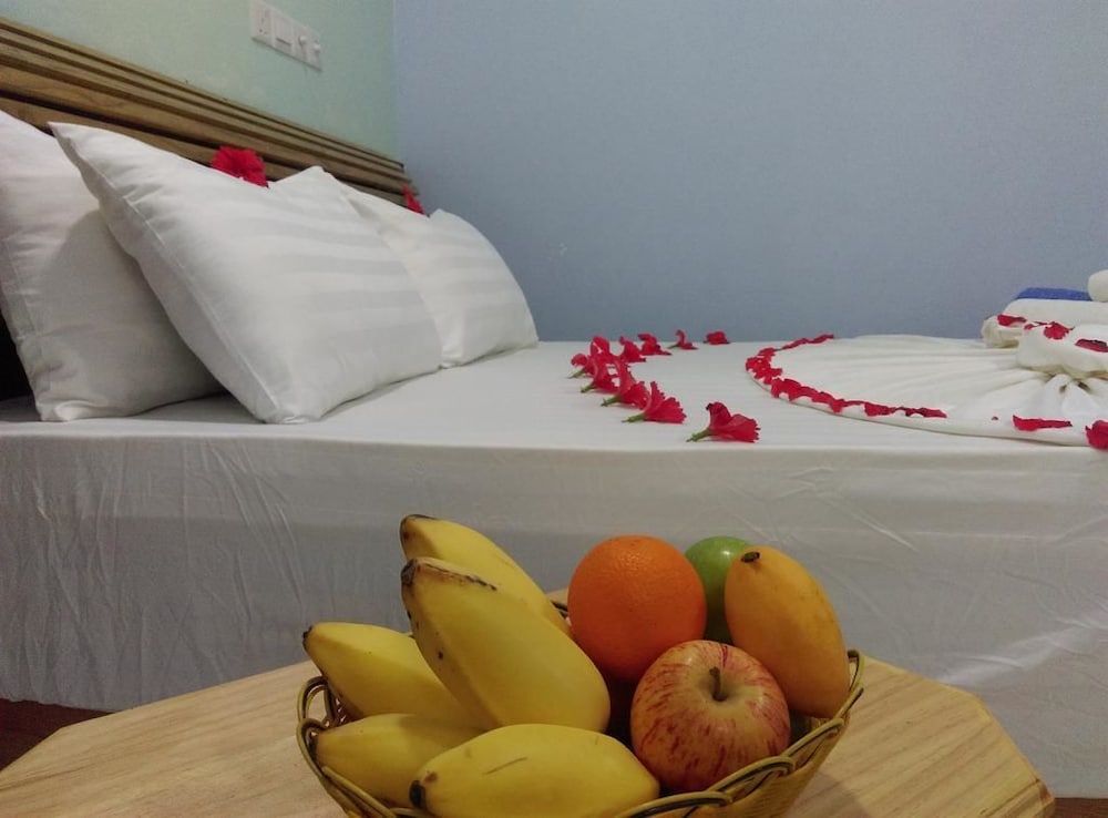 Фото Palm Garden