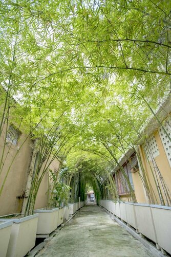 Гостиница Areca Hotel Penang в Штате Пинанг