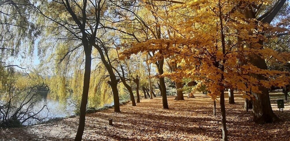 Фото Hotel del Prado