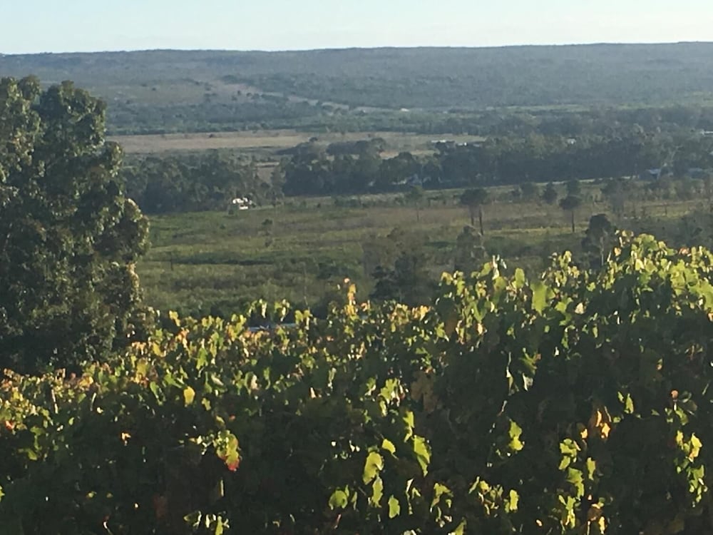 Фото Misty Mountains