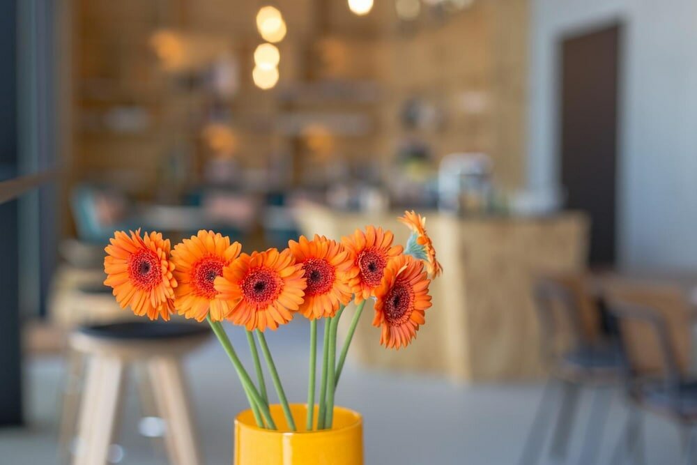 Фото Elferrooms Hotel