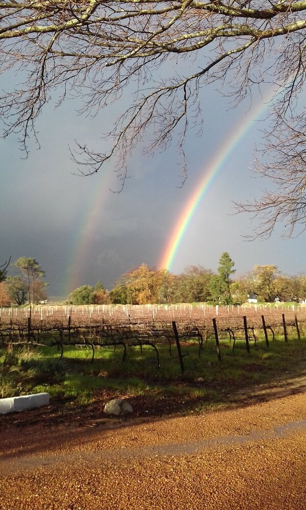 Фото Le Manoir de Brendel