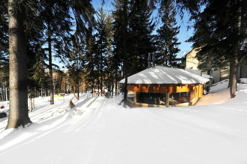 Фото Hotel Vivaldi