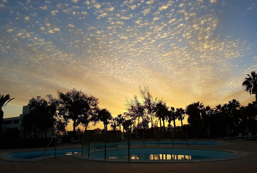 Фото Palmeras Garden