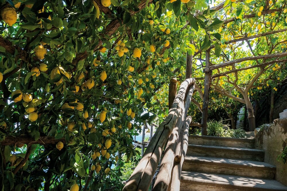 Фото Hotel Santa Caterina