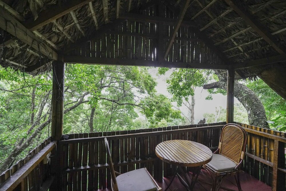 Фото Tea Valley Resort