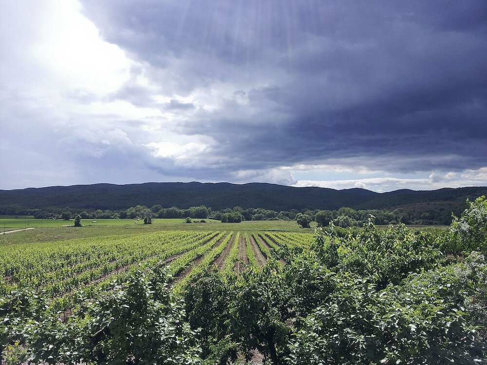 Фото Il Giardino dei Ciliegi