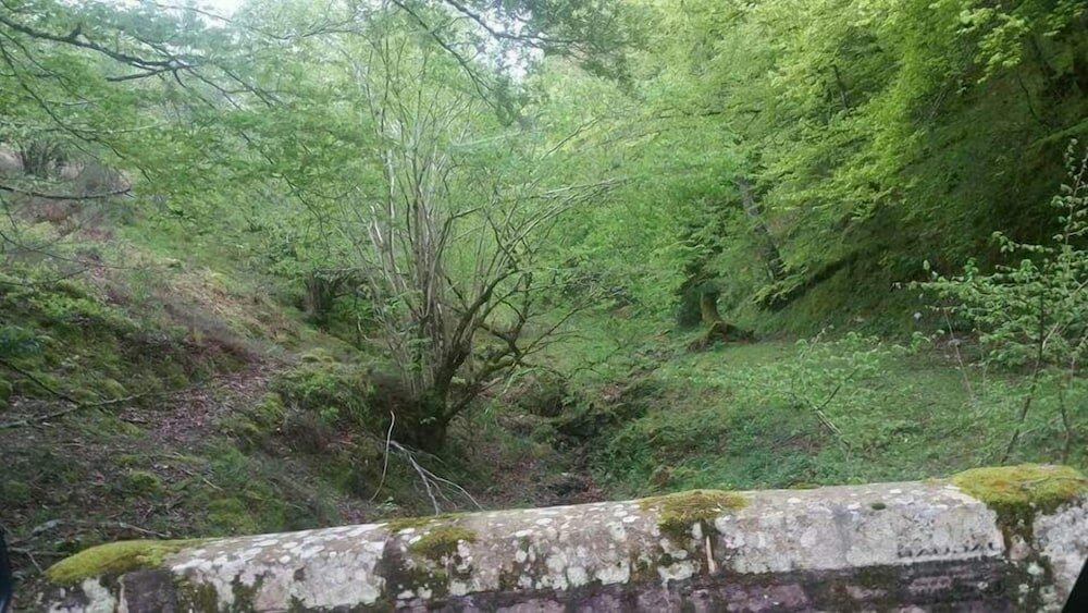 Фото El Roblón De Cabuerniga