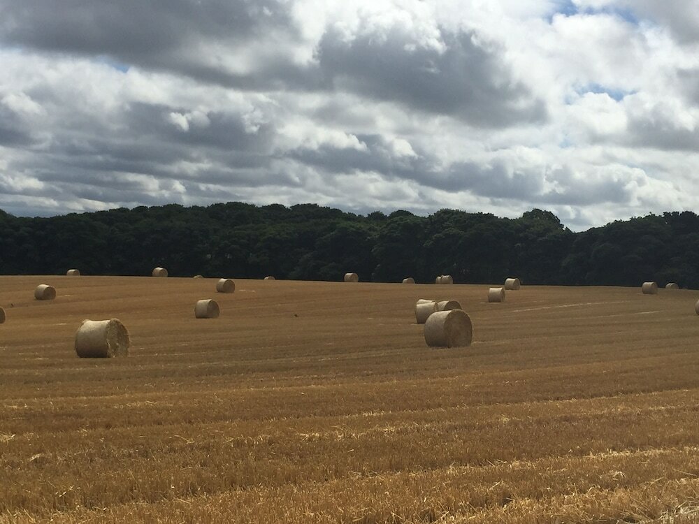 Фото Riding Farm Cottages