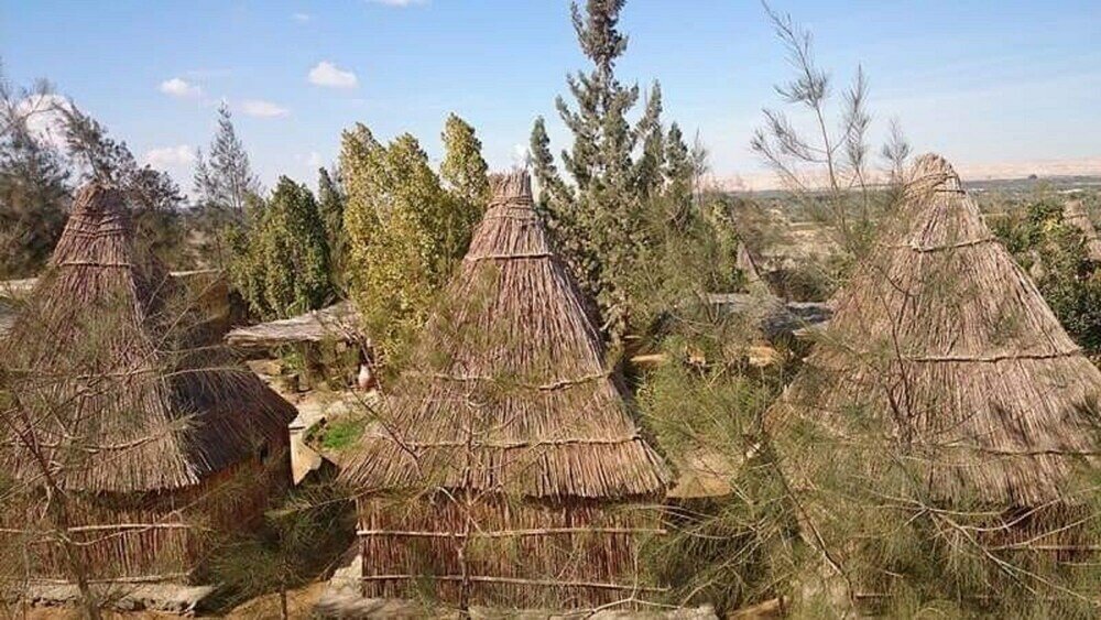 Фото Badry Sahara Camp