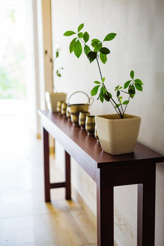 Фото Mekosha Ayurveda SPA Retreat